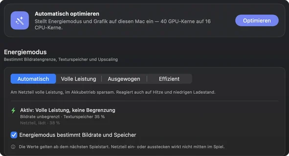 Der Bereich Leistung mit „Automatisch optimieren“ und den vier Energiemodi